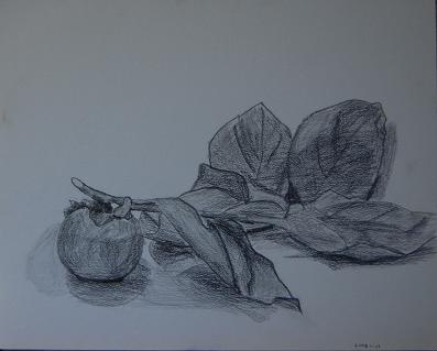 柿を描く | 渋谷油絵教室アーカイブ